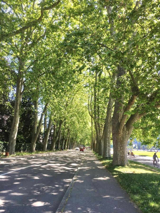 Annecy Center 2 Steps From The Lake Cozy And Renovated! Buitenkant foto